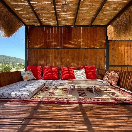 Villa Koca Armut Villalari